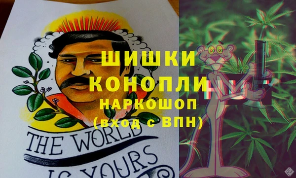 дурь Новодвинск