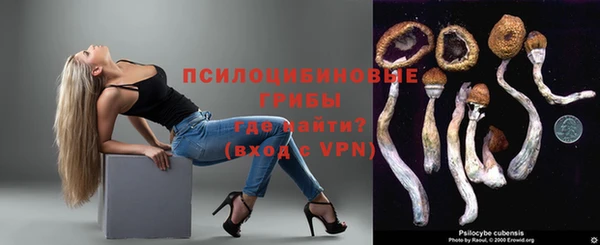 дурь Новодвинск