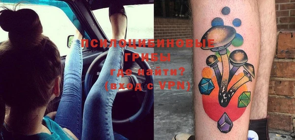 дурь Новодвинск