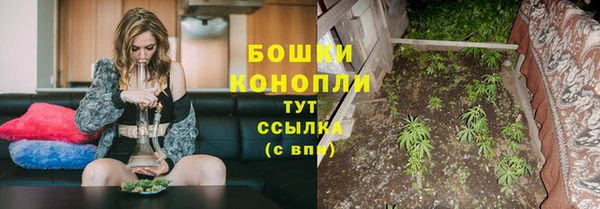 МДПВ Новокубанск