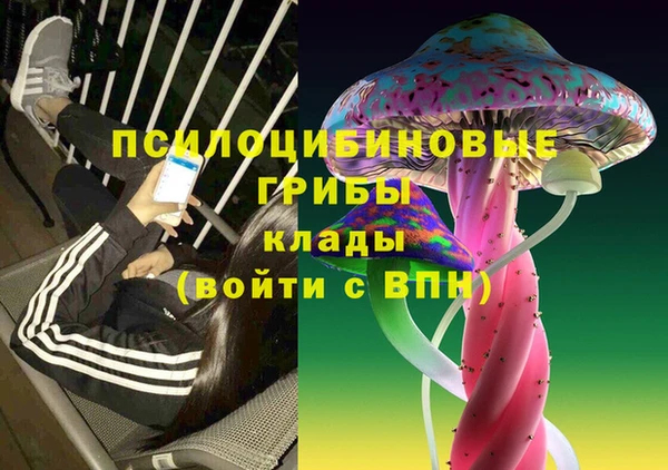 дурь Новодвинск