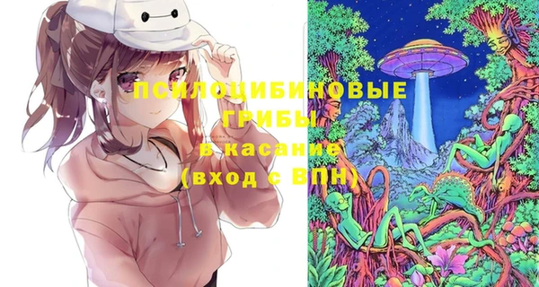 мдпв Сосновоборск