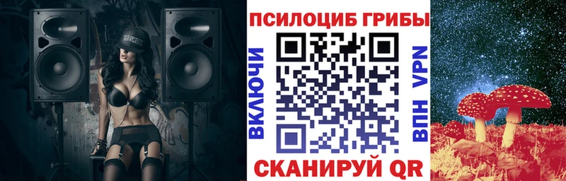 дарнет шоп  Калязин  KRAKEN ссылка  Псилоцибиновые грибы Psilocybe 